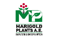 marigoldplants